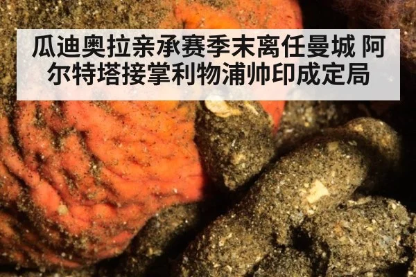 瓜迪奥拉亲承赛季末离任曼城 阿尔特塔接掌利物浦帅印成定局